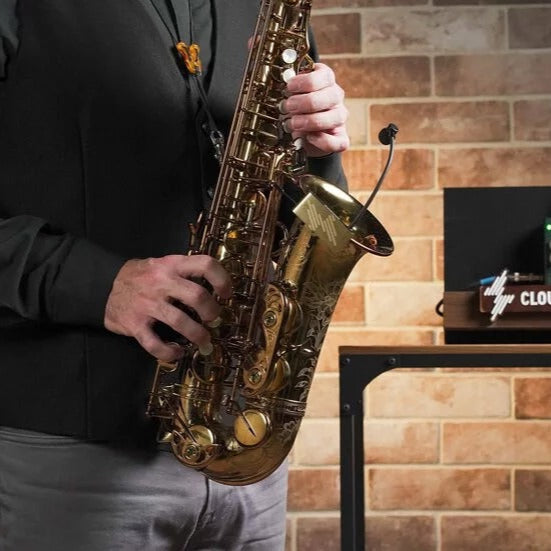 harmonizer pedal saxophone ISOLO LITE